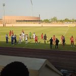 Coton sport de Garoua sans scelle